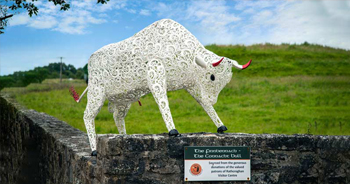 Exterior view of Rathcroghan Visitor Centre with surrounding landscape