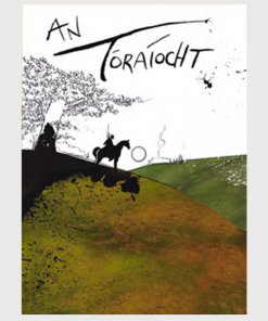 Book cover of An Tóraíocht – le Colmán Ó Raghallaigh