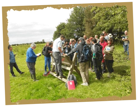 A college group tour of Rathcroghan